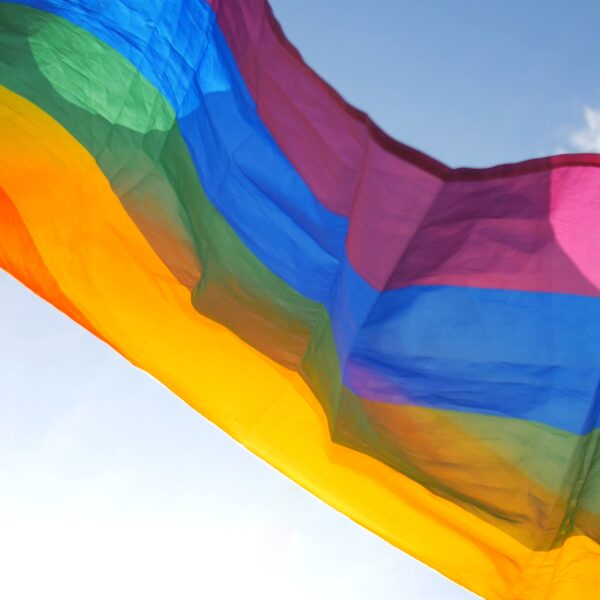 LGBTQIA+ flag